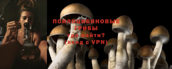 гидропоника Верхний Тагил