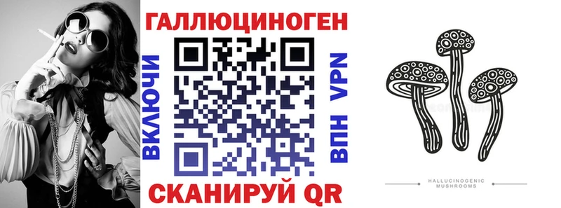 Псилоцибиновые грибы Psilocybe  где продают   мориарти официальный сайт  Жердевка 